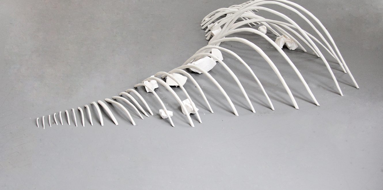 immergées, 2015, porcelaine